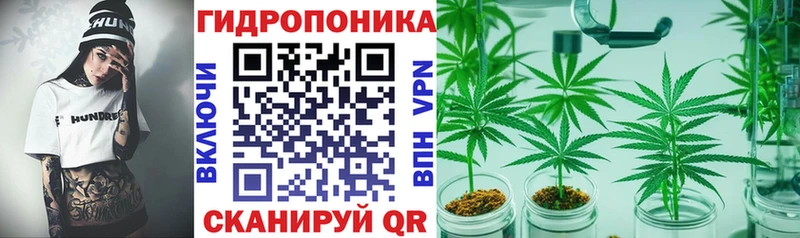 Где купить Магадан Alpha-PVP МЕФ ГАШ