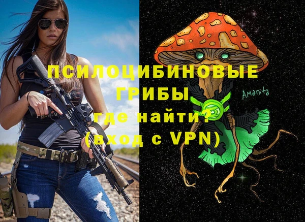 гидра Арсеньев